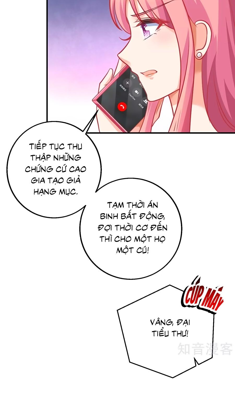 Một Thai Hai Bảo : Đưa Mami Về Nhà ! - Chương 226 - Trang 13