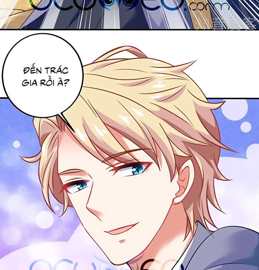 Một Thai Hai Bảo : Đưa Mami Về Nhà ! - Chương 229 - Trang 3