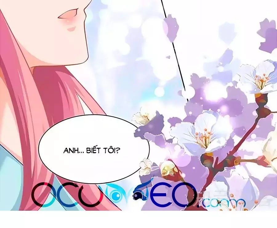 Một Thai Hai Bảo : Đưa Mami Về Nhà ! - Chương 69 - Trang 48