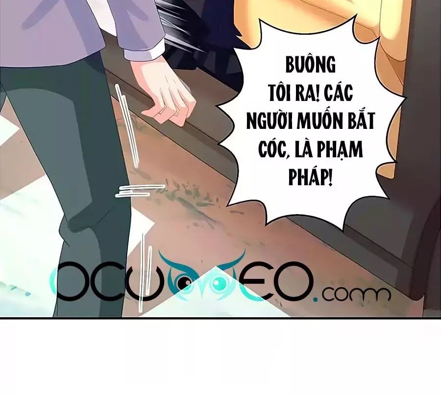 Một Thai Hai Bảo : Đưa Mami Về Nhà ! - Chương 76 - Trang 33