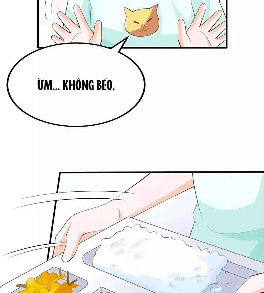 Một Thai Hai Bảo : Đưa Mami Về Nhà ! - Chương 141 - Trang 2