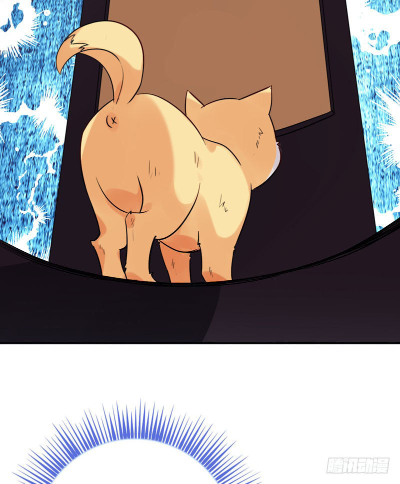 Lụ Đạn, Hôm Nay Lại Cũng Không Thể Biến Thành Người Được - Chương 3 - Trang 18