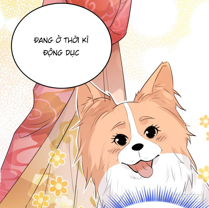 Lụ Đạn, Hôm Nay Lại Cũng Không Thể Biến Thành Người Được - Chương 3 - Trang 22