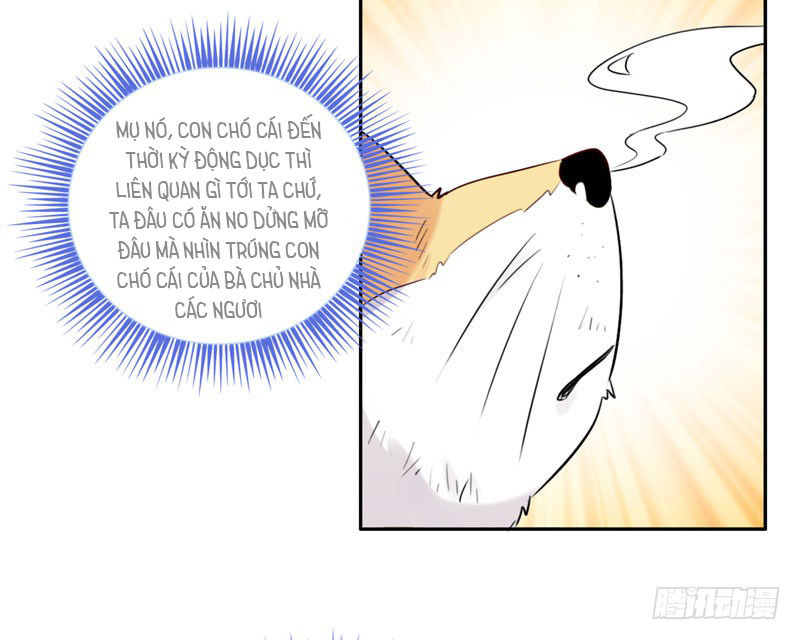 Lụ Đạn, Hôm Nay Lại Cũng Không Thể Biến Thành Người Được - Chương 3 - Trang 23