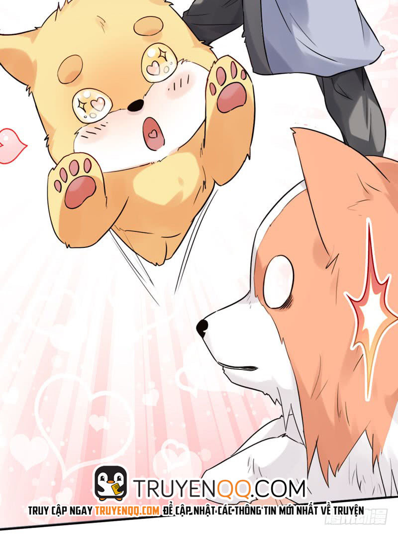 Lụ Đạn, Hôm Nay Lại Cũng Không Thể Biến Thành Người Được - Chương 3 - Trang 25