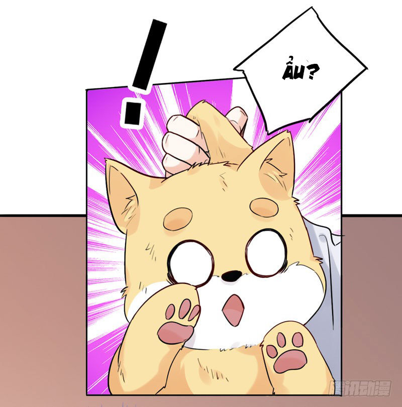 Lụ Đạn, Hôm Nay Lại Cũng Không Thể Biến Thành Người Được - Chương 3 - Trang 26