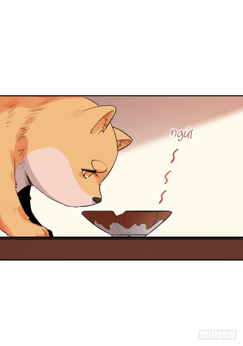 Lụ Đạn, Hôm Nay Lại Cũng Không Thể Biến Thành Người Được - Chương 3 - Trang 44