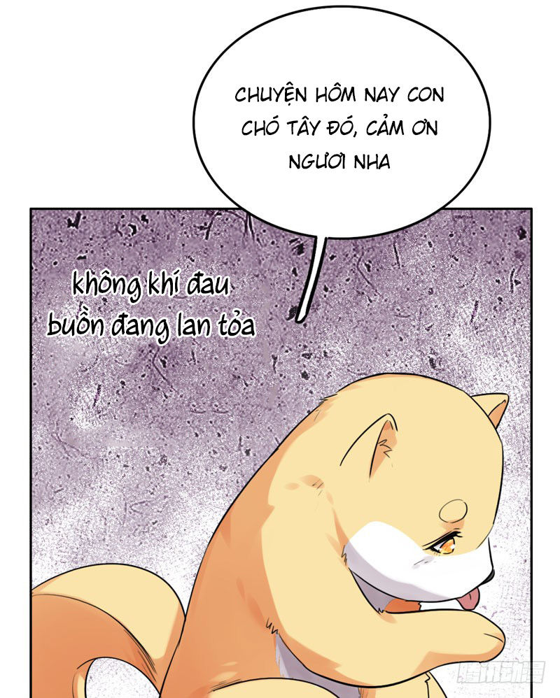 Lụ Đạn, Hôm Nay Lại Cũng Không Thể Biến Thành Người Được - Chương 3 - Trang 52