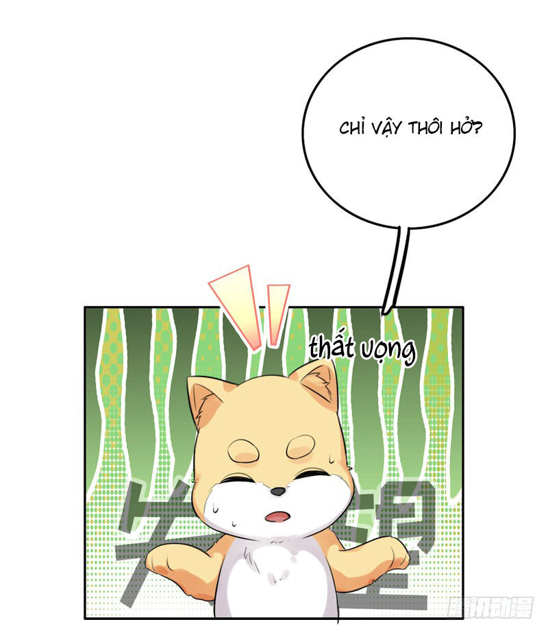 Lụ Đạn, Hôm Nay Lại Cũng Không Thể Biến Thành Người Được - Chương 3 - Trang 56