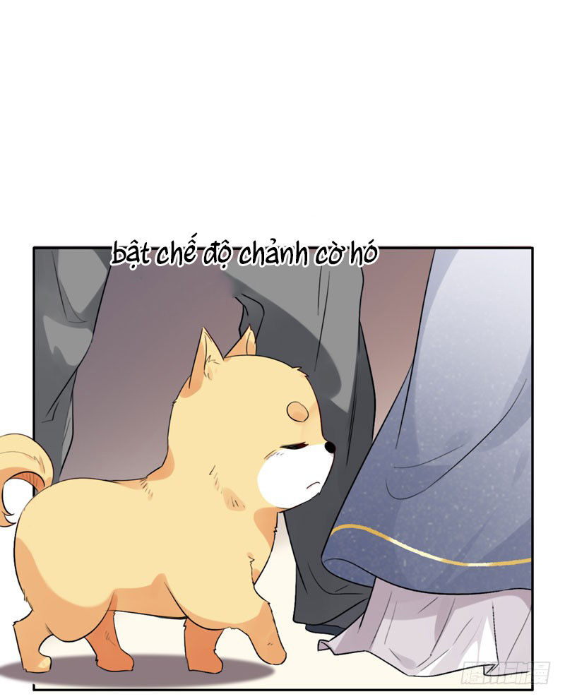 Lụ Đạn, Hôm Nay Lại Cũng Không Thể Biến Thành Người Được - Chương 3 - Trang 9