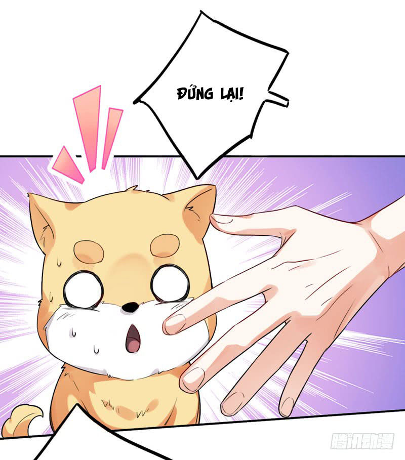 Lụ Đạn, Hôm Nay Lại Cũng Không Thể Biến Thành Người Được - Chương 3 - Trang 10