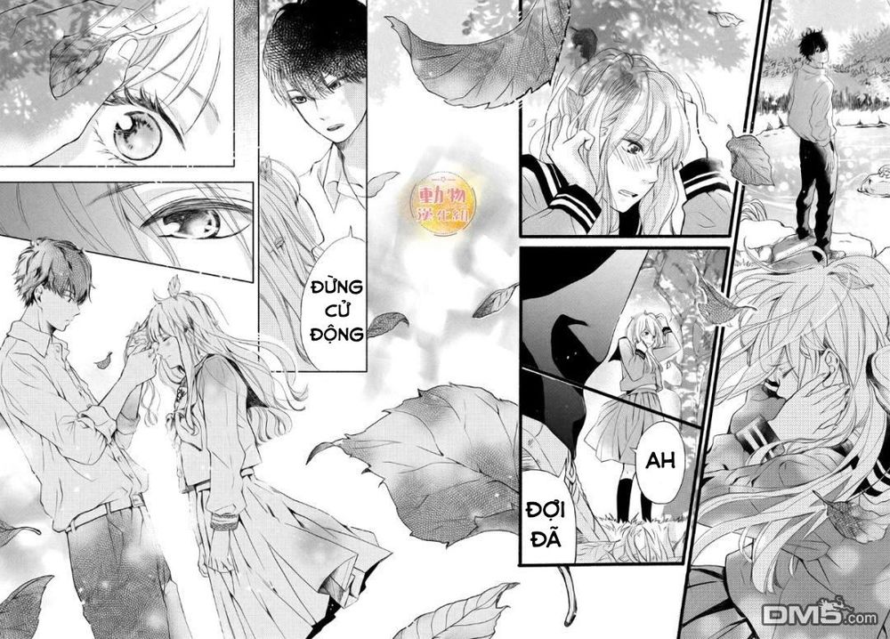 Mikansei Demo Koi Ga Ii. - Chương 2 - Trang 42