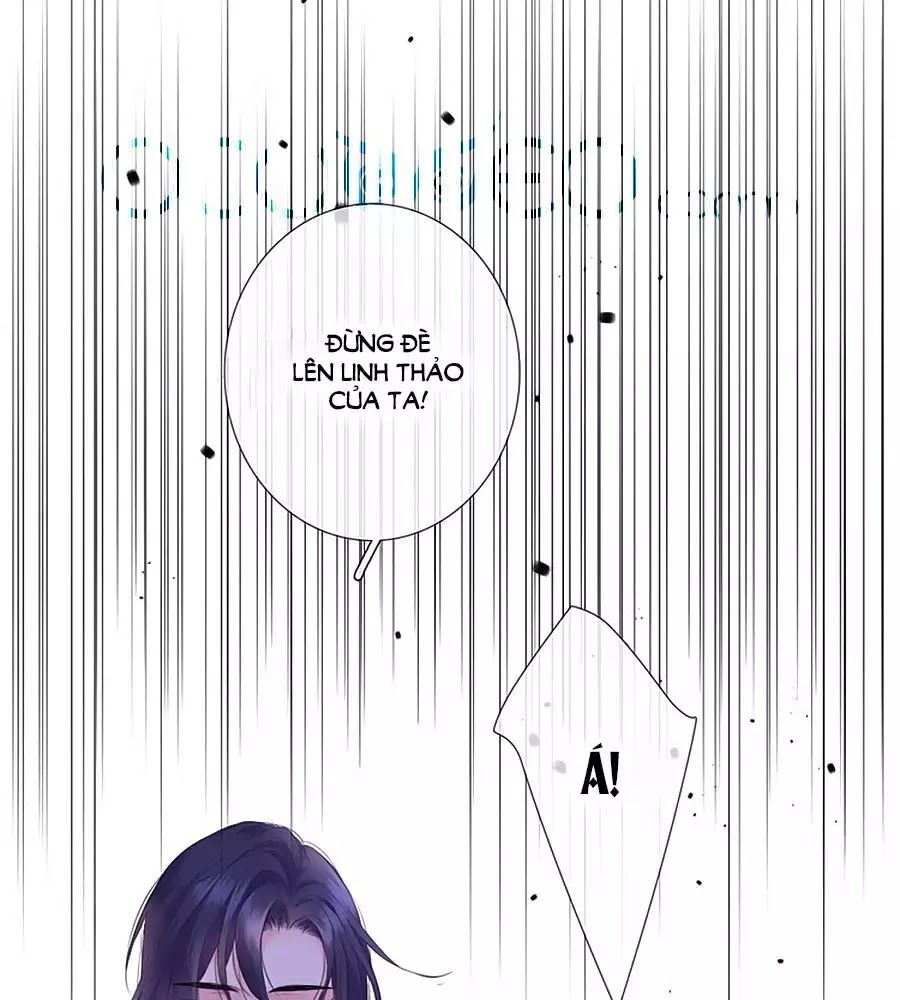 Kiều Nhi Hư Quá Nha - Chương 10 - Trang 17