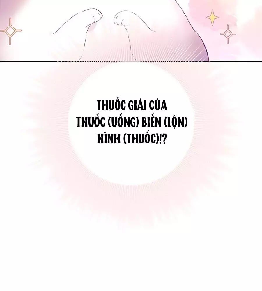 Kiều Nhi Hư Quá Nha - Chương 8 - Trang 16