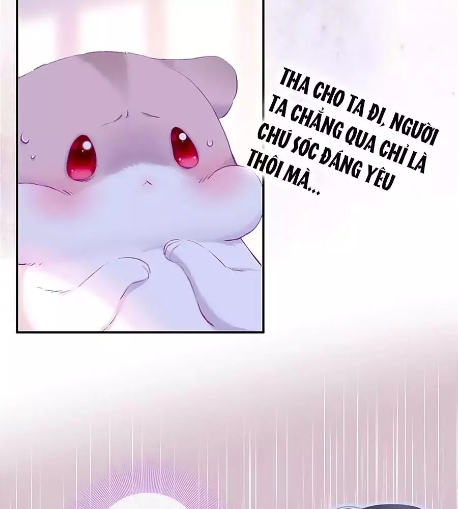 Kiều Nhi Hư Quá Nha - Chương 8 - Trang 3