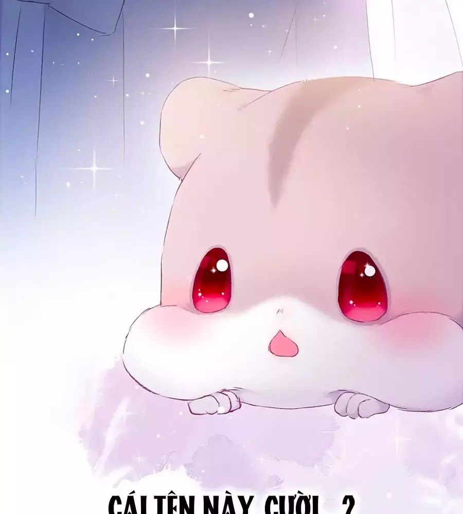 Kiều Nhi Hư Quá Nha - Chương 8 - Trang 45