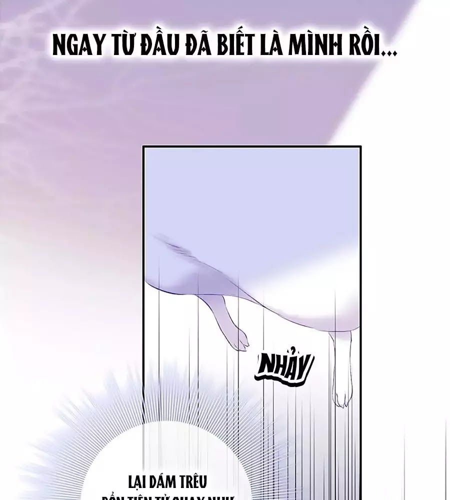 Kiều Nhi Hư Quá Nha - Chương 8 - Trang 60