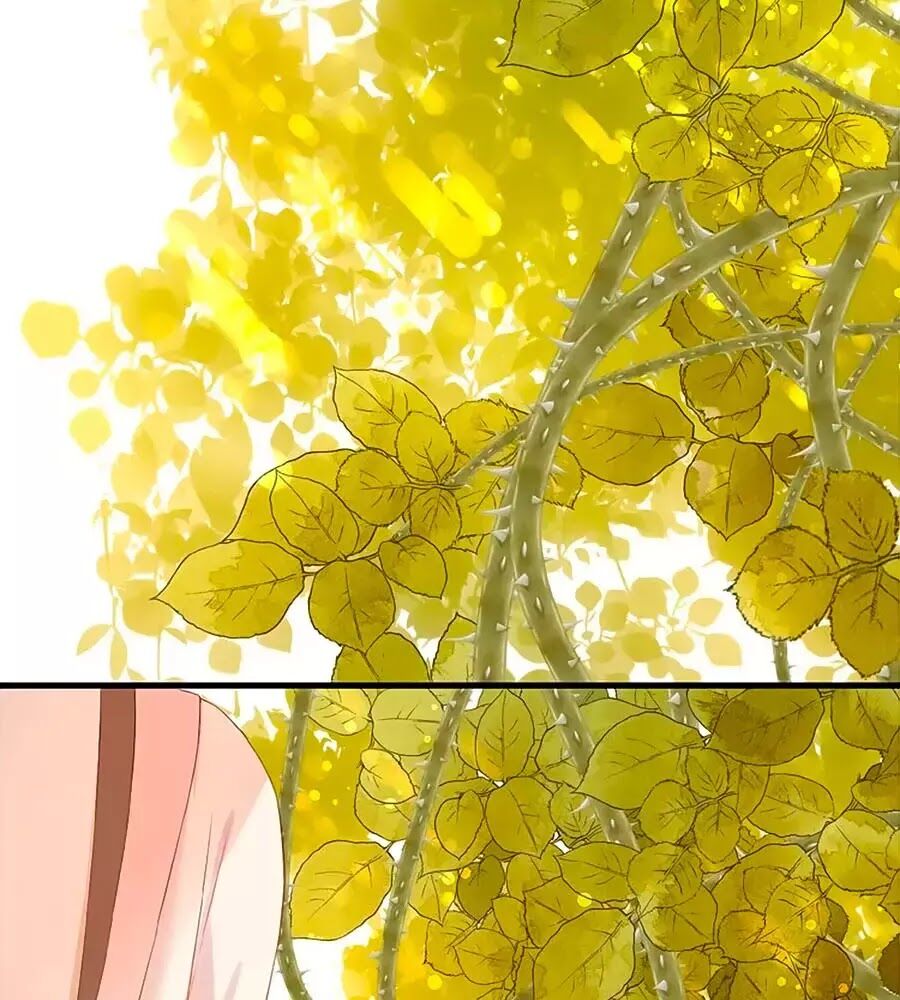 Hoa Chưa Nở Rộ - Chương 20 - Trang 15