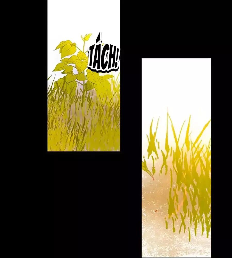 Hoa Chưa Nở Rộ - Chương 20 - Trang 23