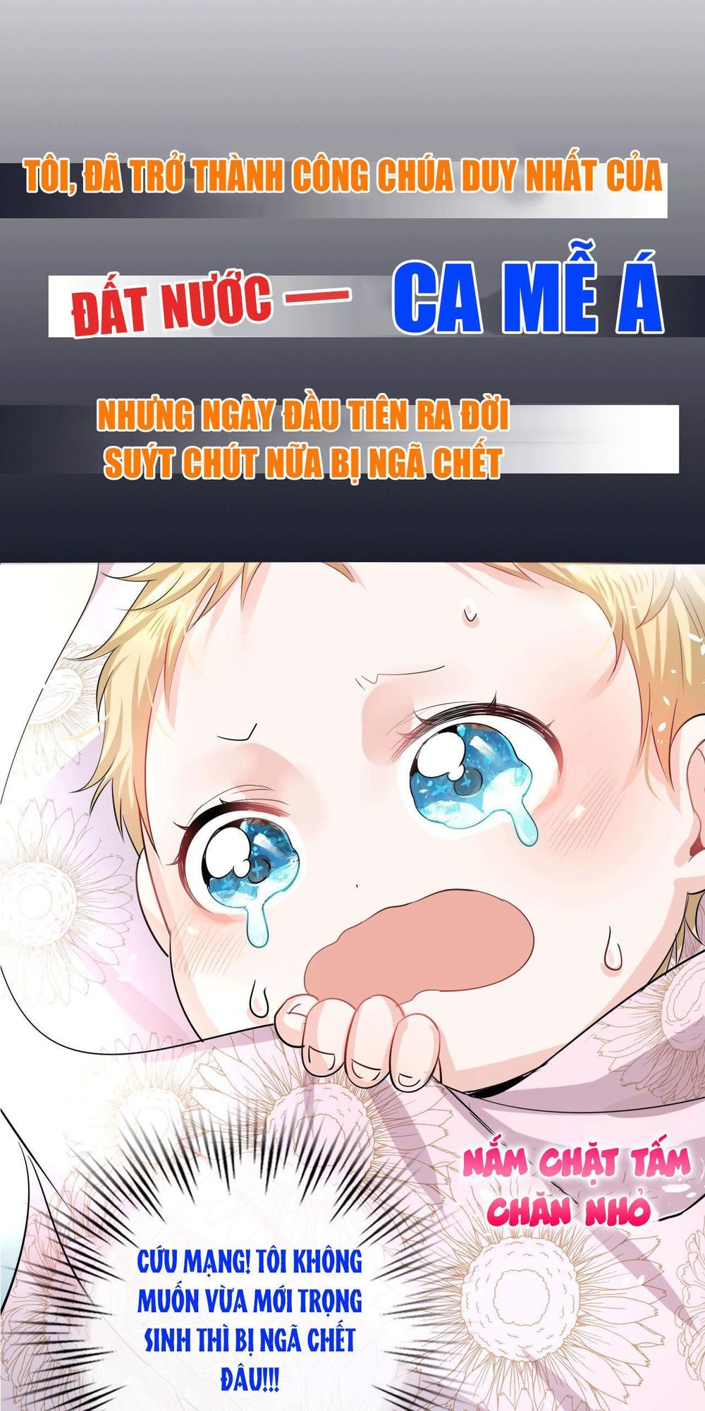 Hệ Thống Công Lược Của Tiểu Công Chúa - Chương 1 - Trang 3