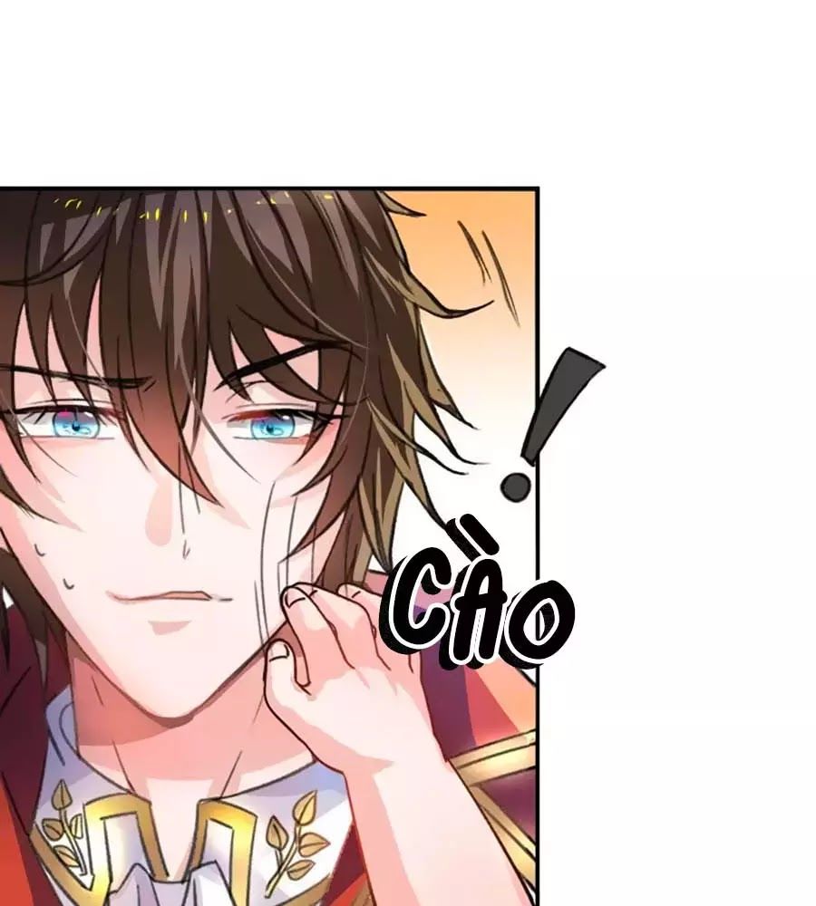 Hệ Thống Công Lược Của Tiểu Công Chúa - Chương 11 - Trang 23