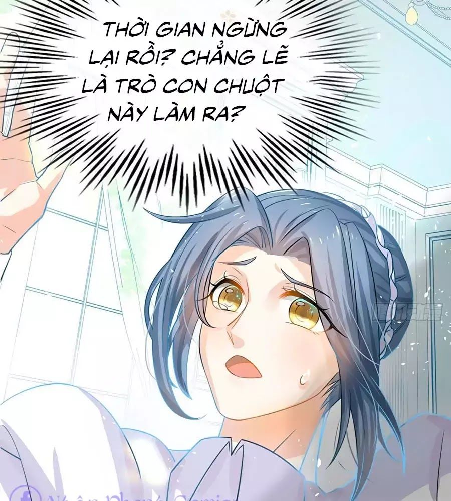 Hệ Thống Công Lược Của Tiểu Công Chúa - Chương 3 - Trang 7