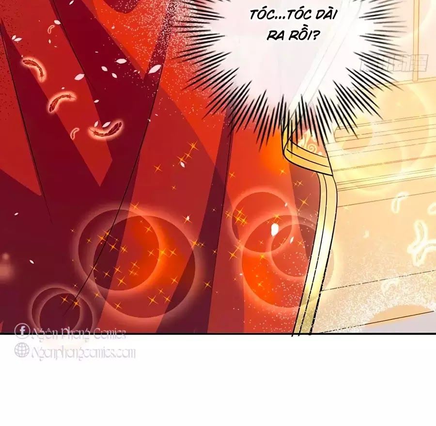 Hệ Thống Công Lược Của Tiểu Công Chúa - Chương 5 - Trang 23