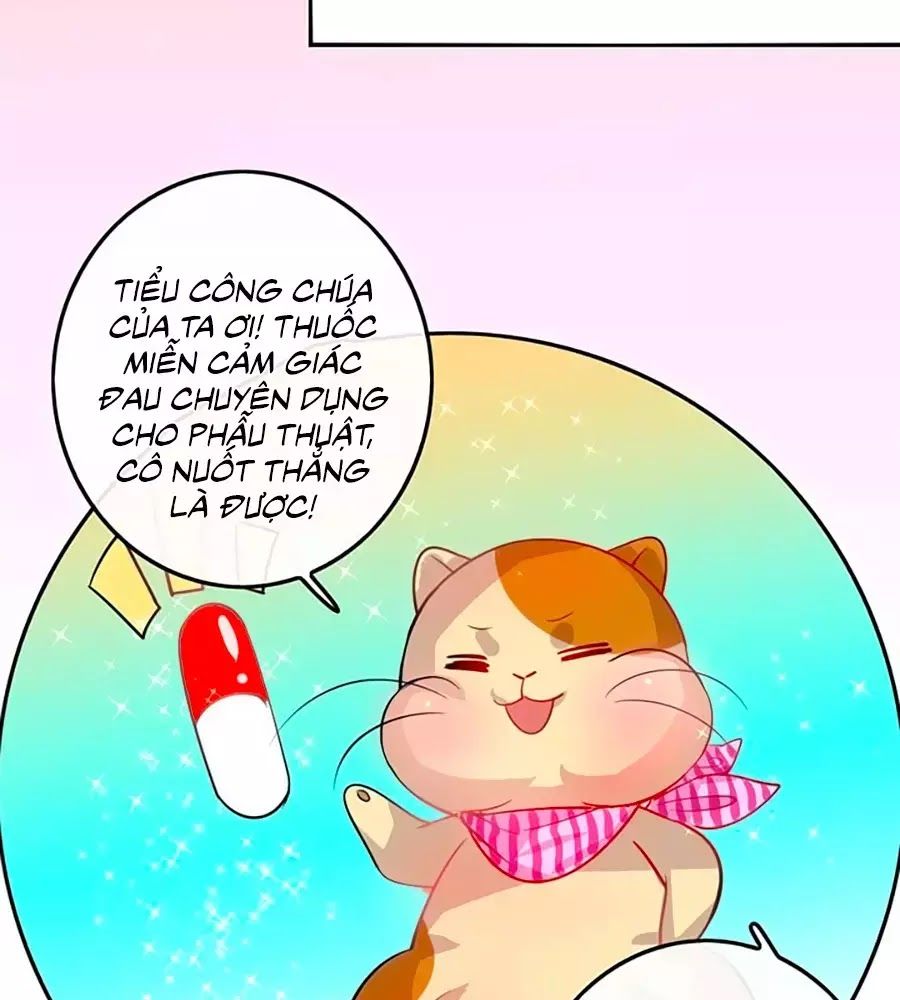 Hệ Thống Công Lược Của Tiểu Công Chúa - Chương 9 - Trang 14