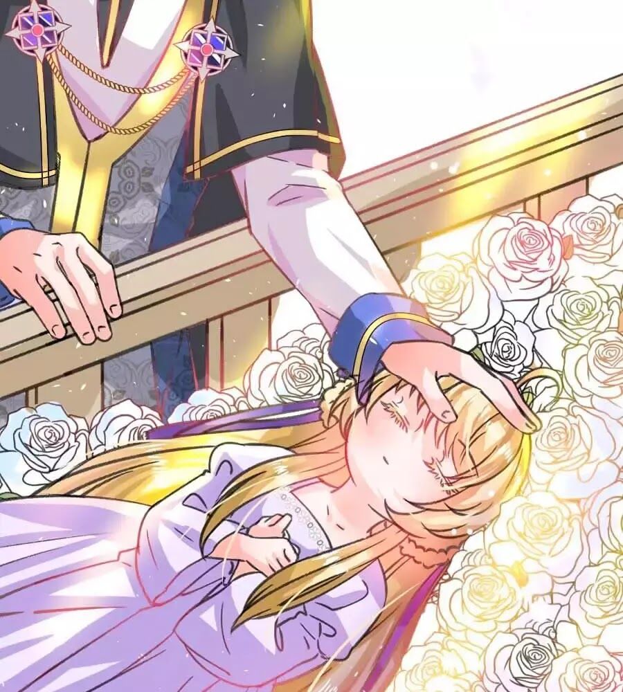 Hệ Thống Công Lược Của Tiểu Công Chúa - Chương 14 - Trang 27