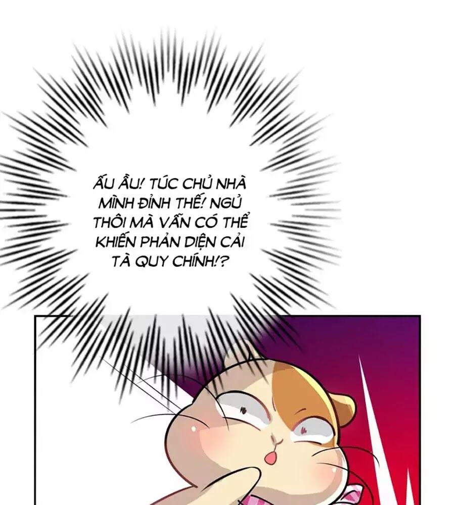 Hệ Thống Công Lược Của Tiểu Công Chúa - Chương 15 - Trang 13