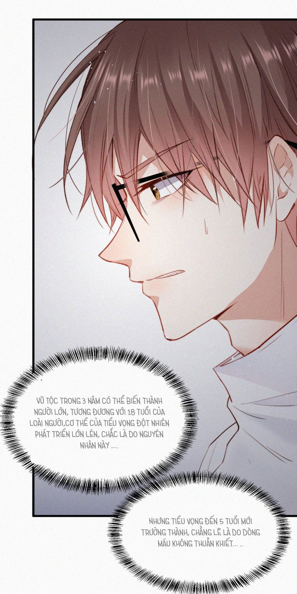 Triều Tây, Con Thích Chú - Chương 4 - Trang 5