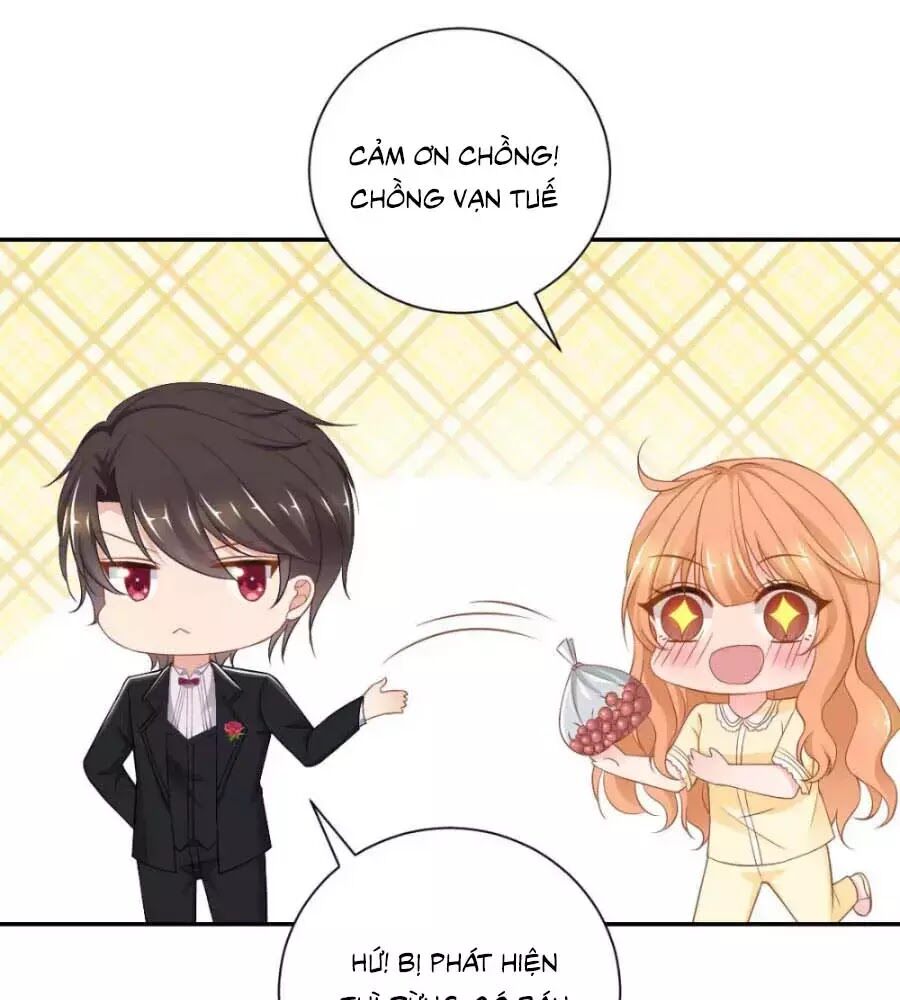 Phụng Tử Thành Hôn: Vợ Mới Không Được Trốn Thoát - Chương 14 - Trang 1