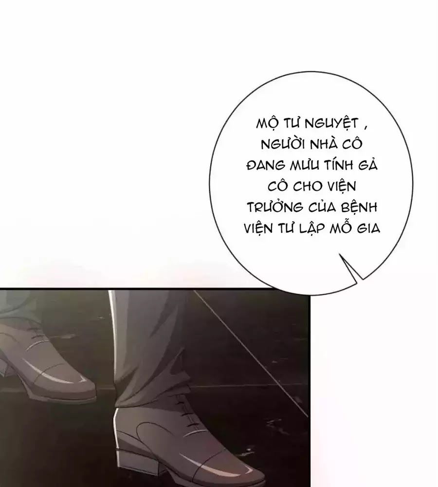 Phụng Tử Thành Hôn: Vợ Mới Không Được Trốn Thoát - Chương 5 - Trang 3