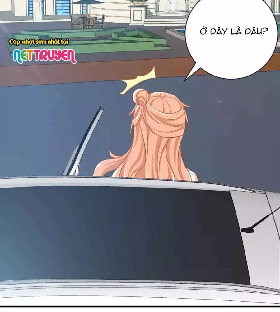 Phụng Tử Thành Hôn: Vợ Mới Không Được Trốn Thoát - Chương 5 - Trang 27