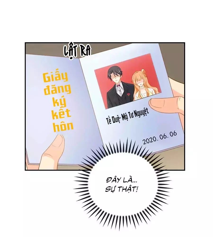 Phụng Tử Thành Hôn: Vợ Mới Không Được Trốn Thoát - Chương 6 - Trang 19