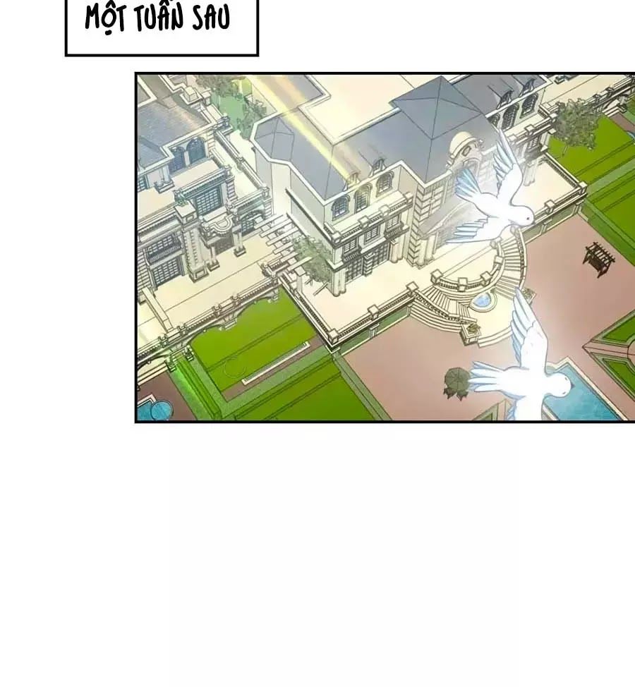 Phụng Tử Thành Hôn: Vợ Mới Không Được Trốn Thoát - Chương 6 - Trang 46