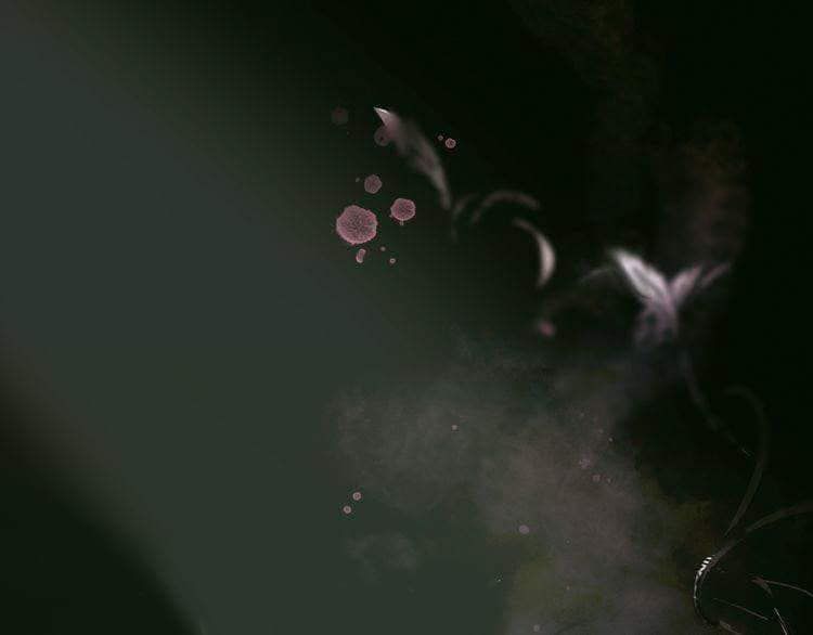 Câu Chuyện Cổ Tích Của Người Mẹ Kế - Chương 0 - Trang 1