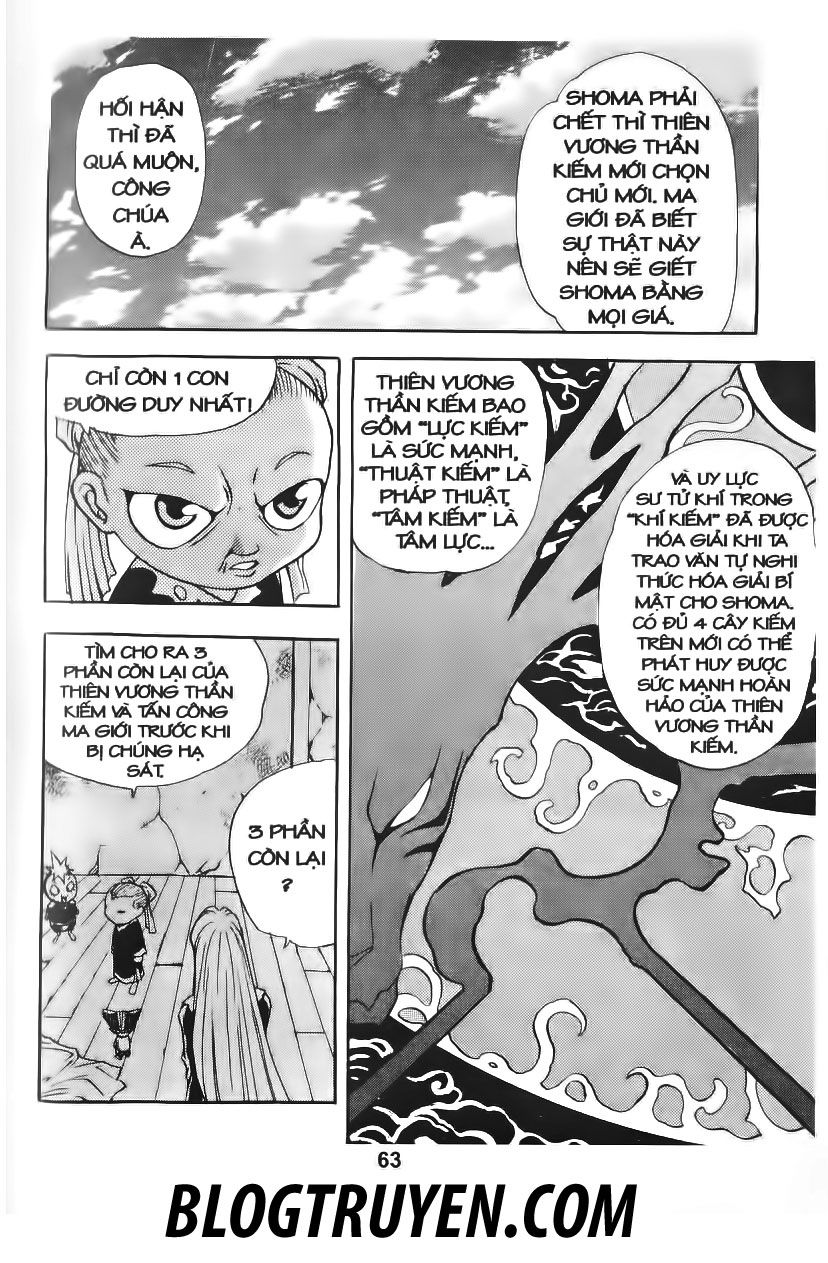Thiên Vương Thần Kiếm - Chương 45 - Trang 13