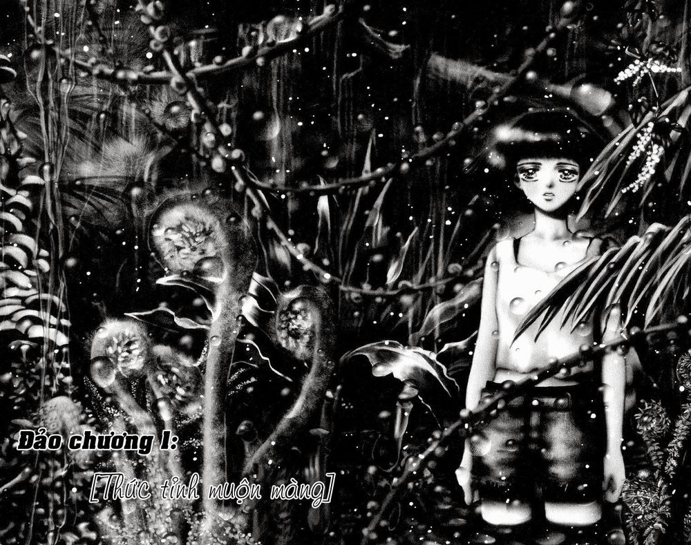 Mầm Sống - Chương 1 - Trang 6