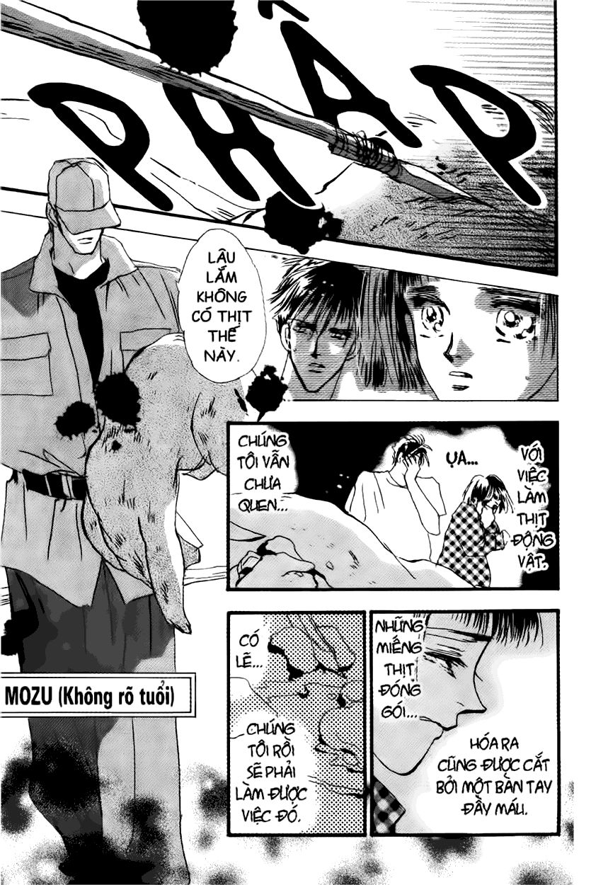 Mầm Sống - Chương 10 - Trang 13