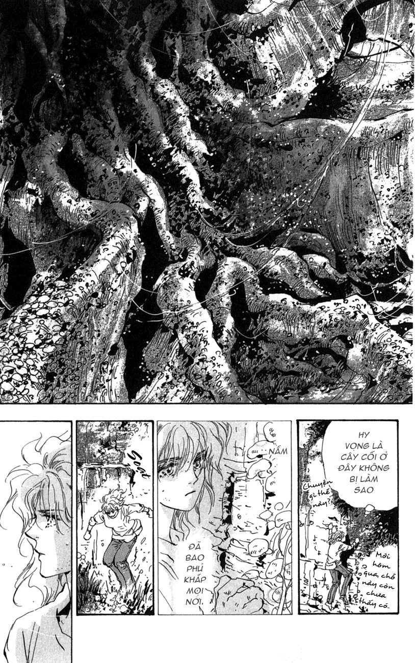 Mầm Sống - Chương 117 - Trang 10