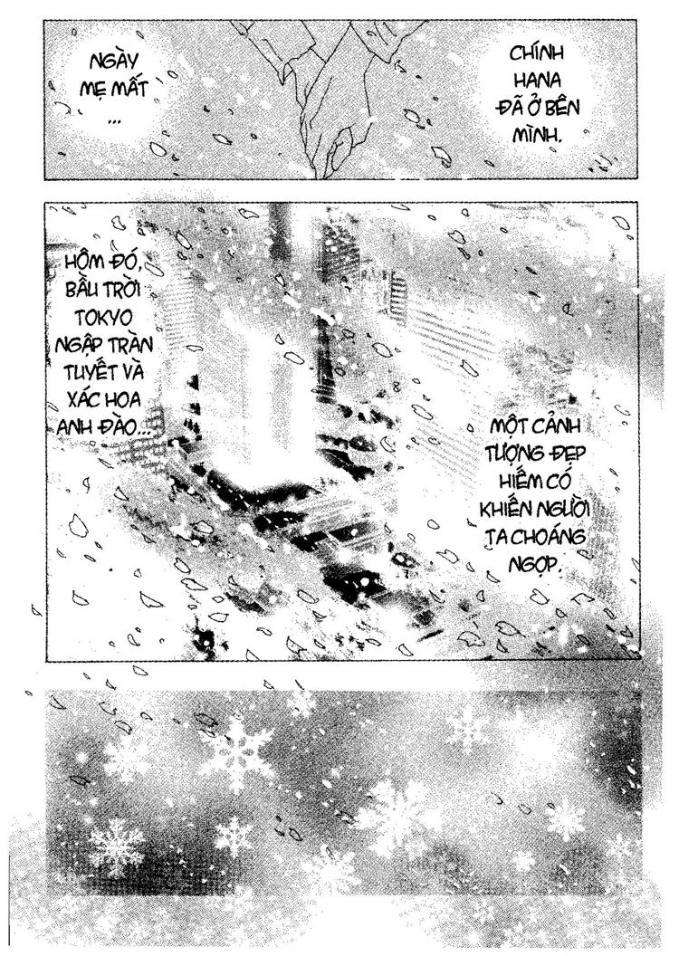 Mầm Sống - Chương 24 - Trang 3