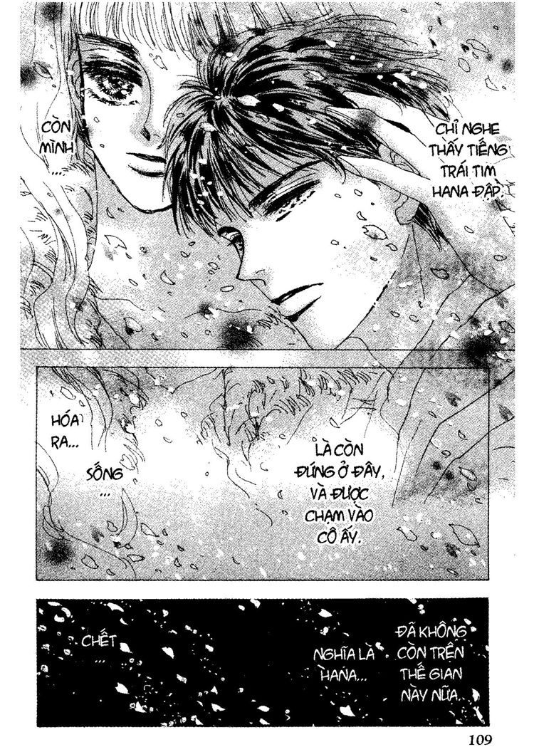 Mầm Sống - Chương 24 - Trang 4