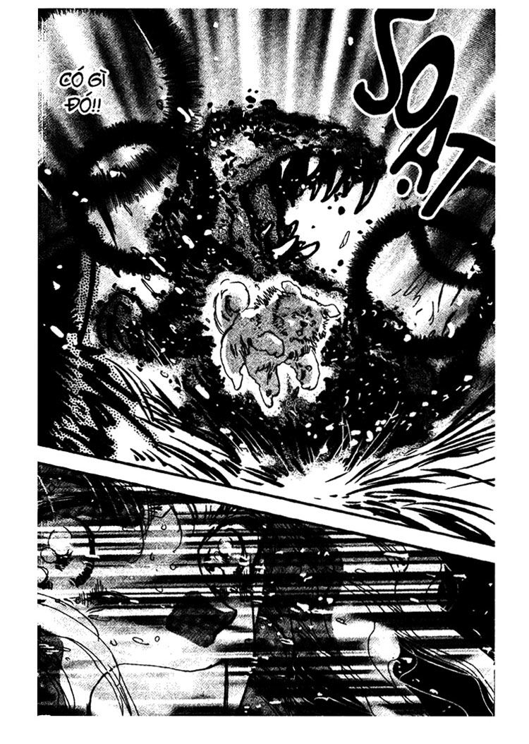 Mầm Sống - Chương 26 - Trang 11