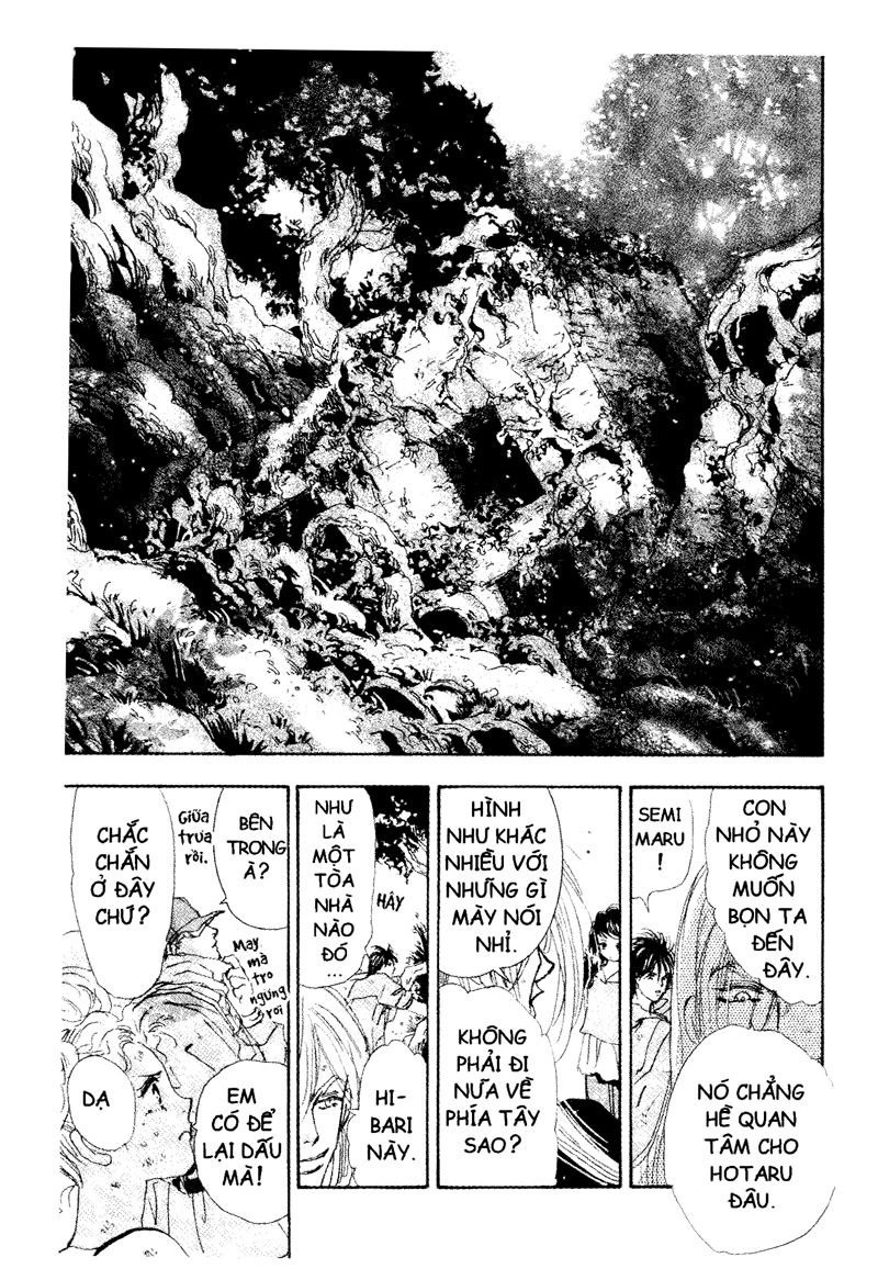 Mầm Sống - Chương 66 - Trang 15