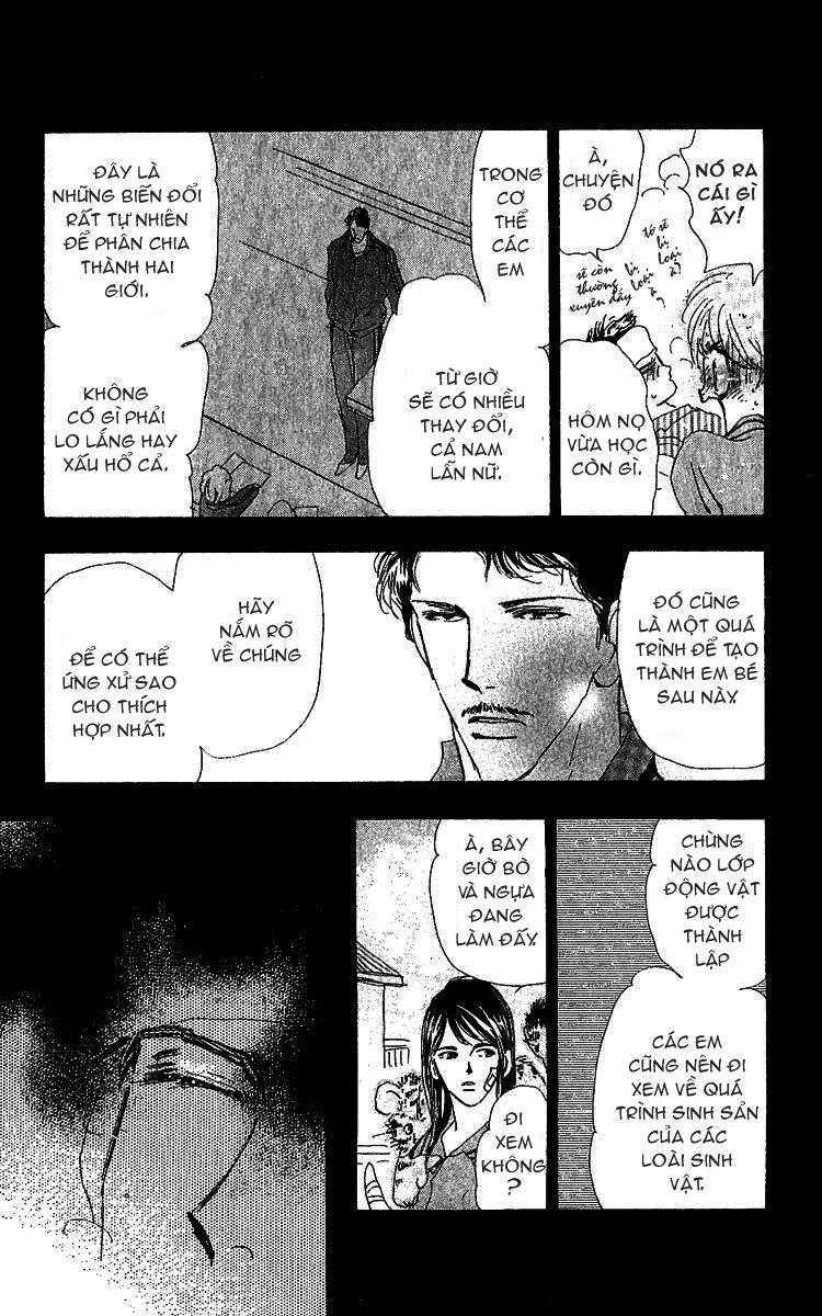 Mầm Sống - Chương 78 - Trang 11