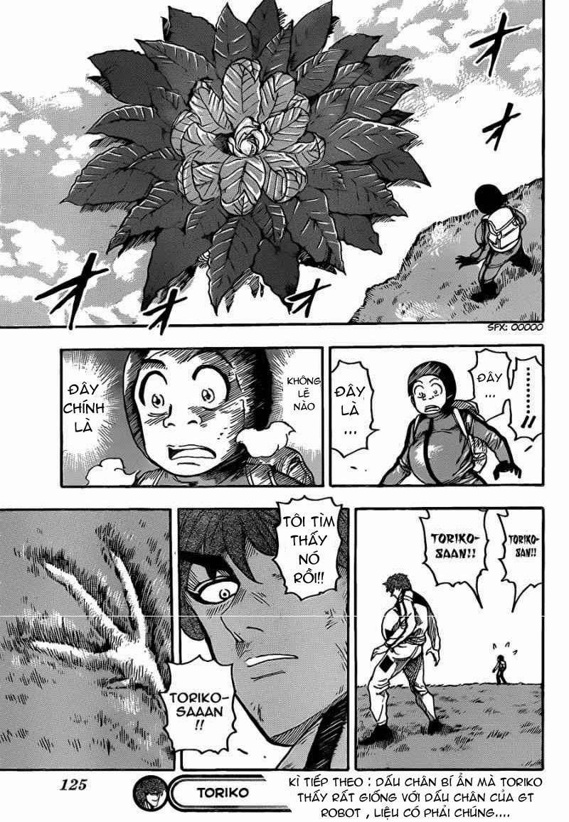 Toriko - Thợ Săn Ẩm Thực - Chương 106 - Trang 18