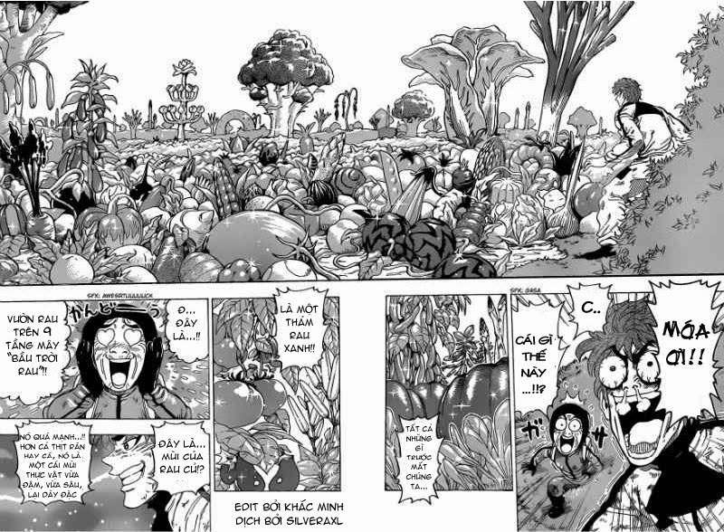 Toriko - Thợ Săn Ẩm Thực - Chương 106 - Trang 10