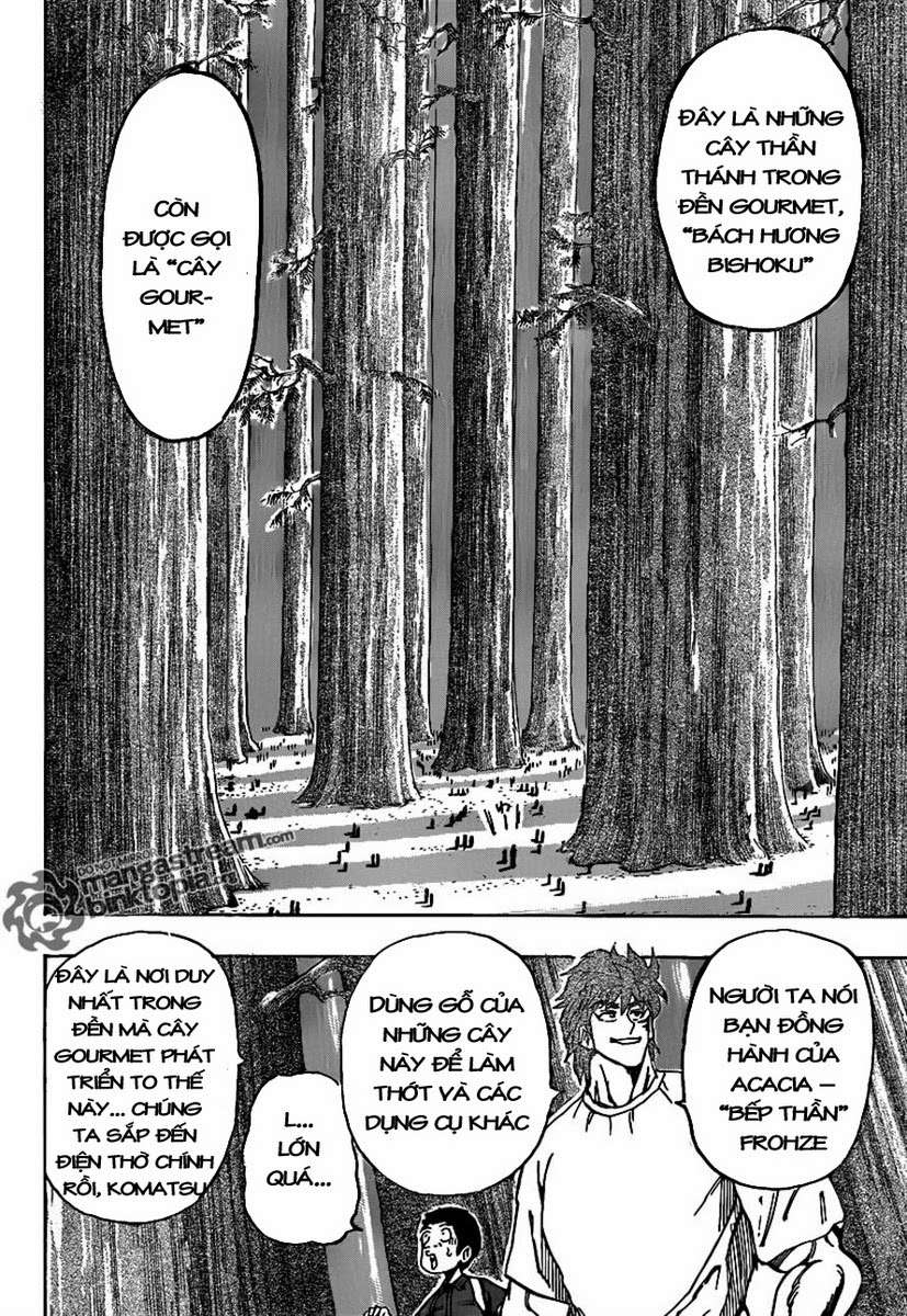 Toriko - Thợ Săn Ẩm Thực - Chương 145 - Trang 10