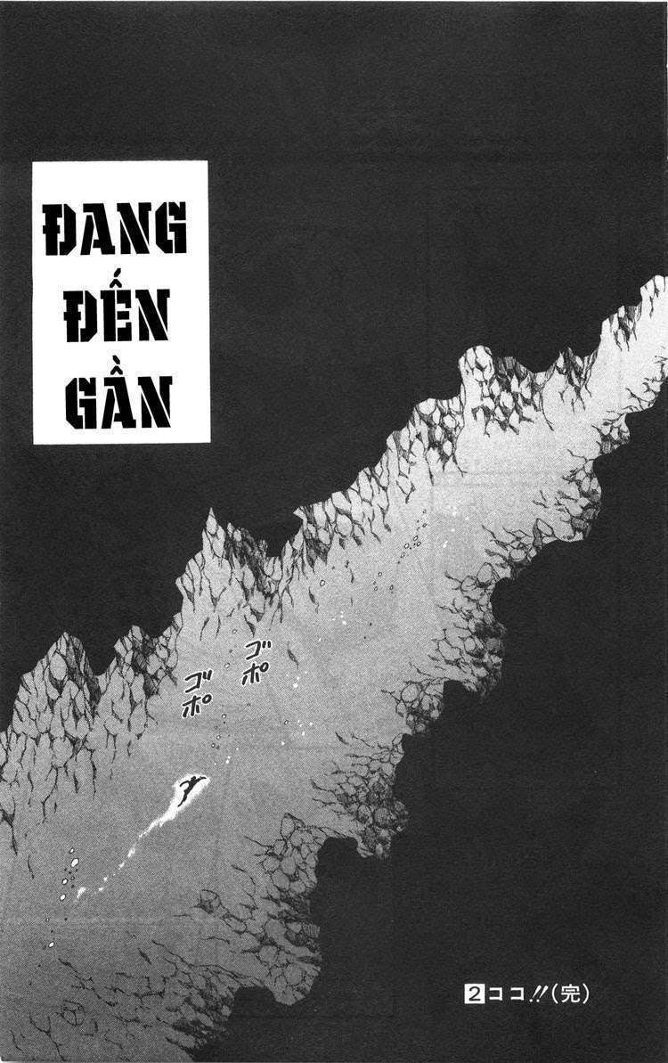 Toriko - Thợ Săn Ẩm Thực - Chương 16 - Trang 19